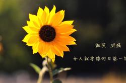 开云官网-戈贝尔扛起全队，魔术逆转浙江队，一场跨越文化的篮球对话