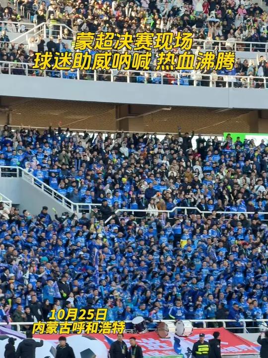 观众沸腾热情，为球队激情呐喊