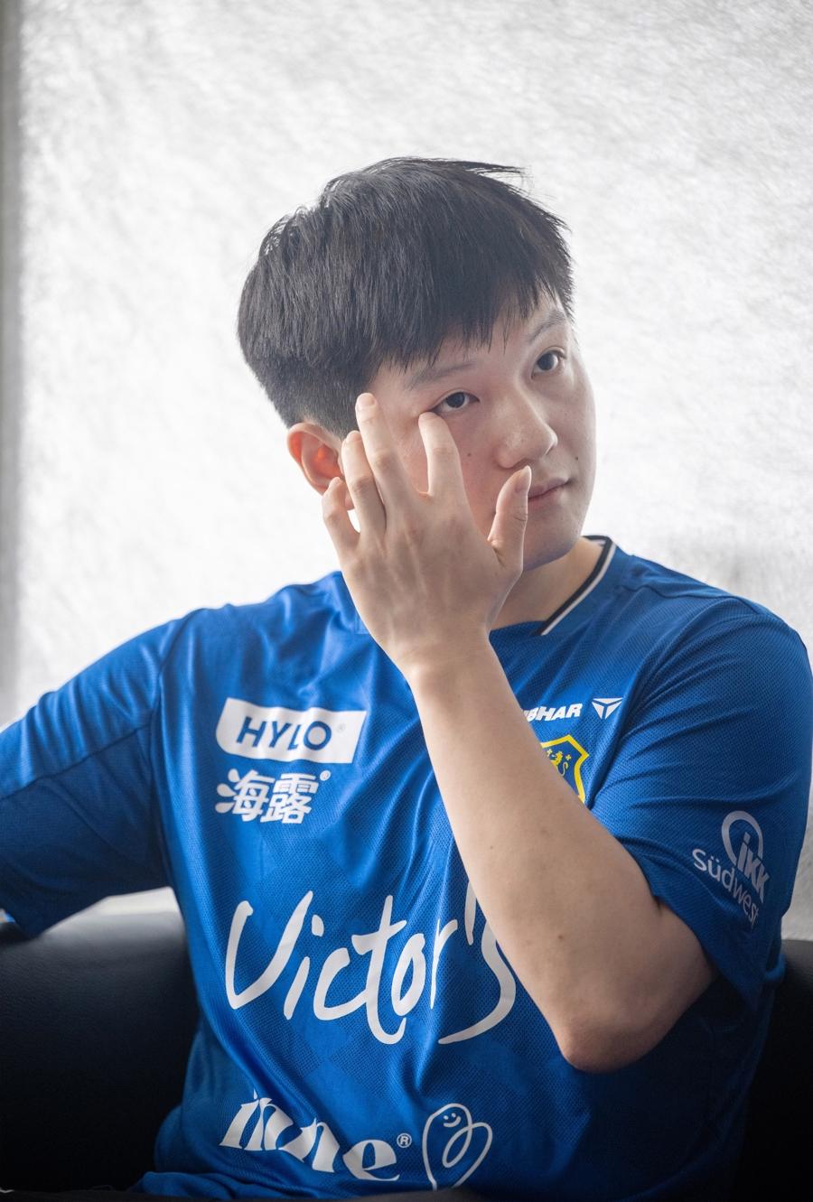 法国队险胜德国队，樊振东高光表现的简单介绍