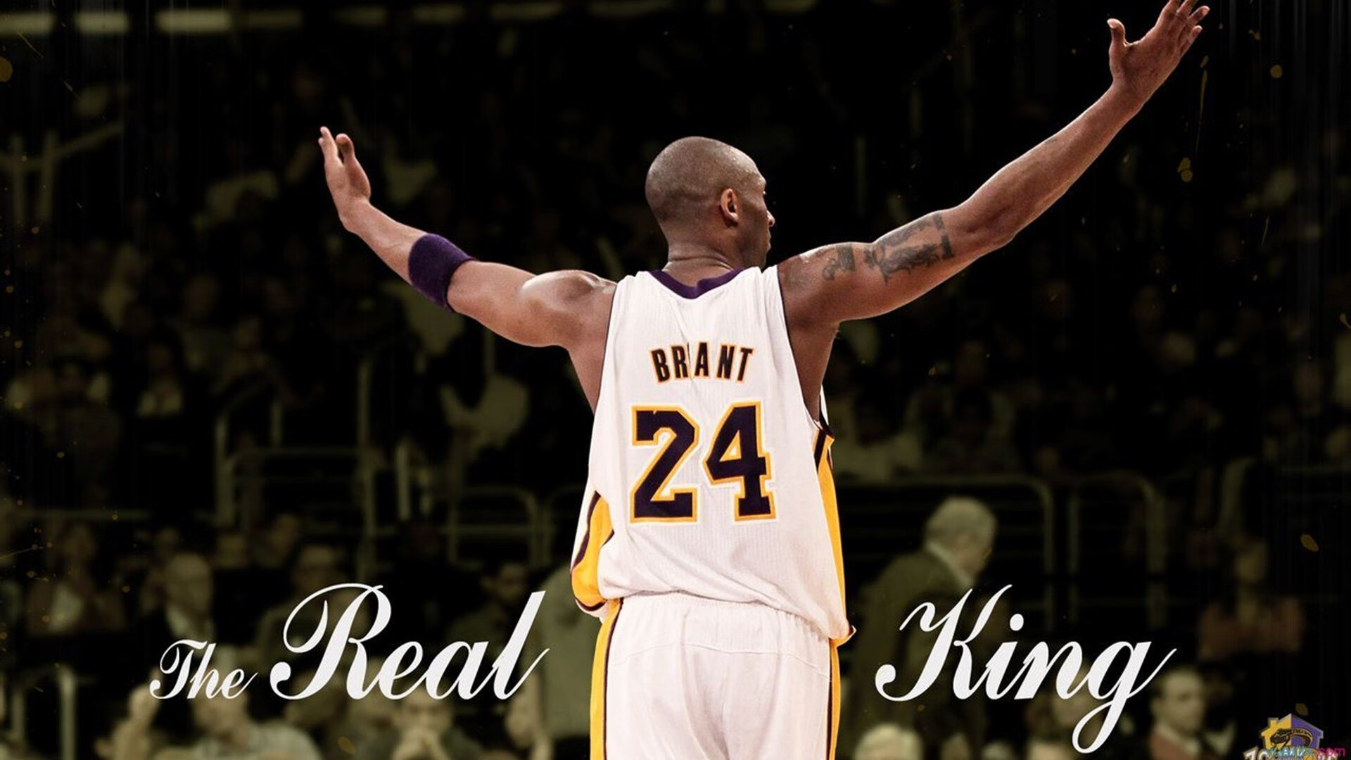 国王终结篮网,文班亚马防守端锁死对手,新时代的禁区守护者降临